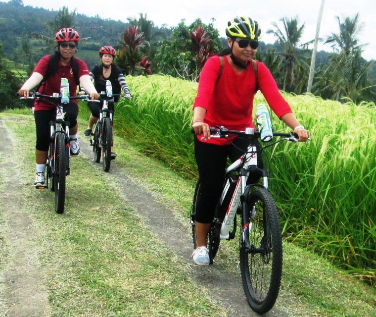 Bali: Jatiluwih Full-Day E-Bike and Trekking Tour - Directions