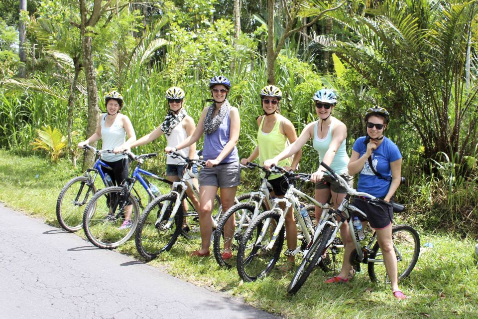 Bali: Jatiluwih Rice Terraces 1-Hour Electric Bike Tour - Directions for Booking