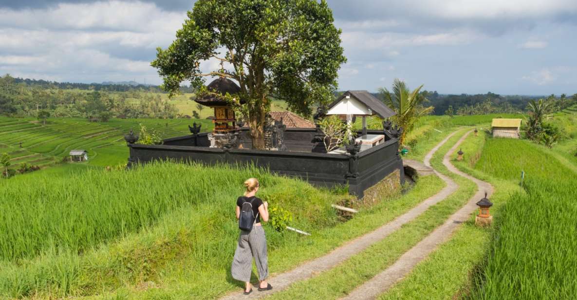 Bali: Jatiluwih UNESCO, Waterfall and Temple Private Tour - Inclusions