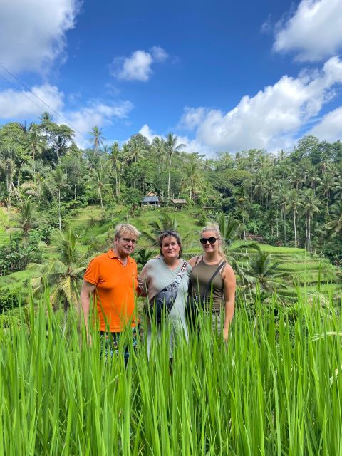 Bali Jeep Sunrise and Ubud Rice Terrace - Ubud Rice Terrace Booking