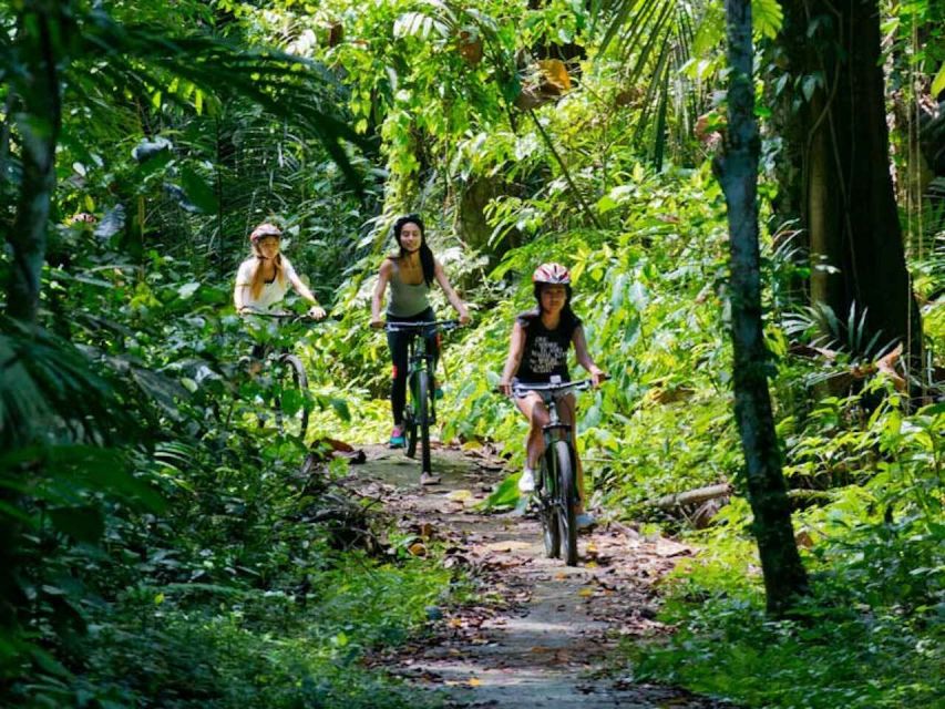 Bali: Mount Batur Mountain Biking Adventure With Lunch - Last Words