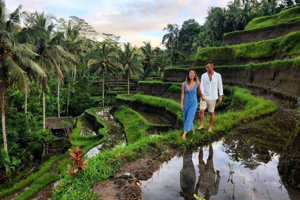 Bali: Private Full-Day Guided Customized Tours - Recommendations