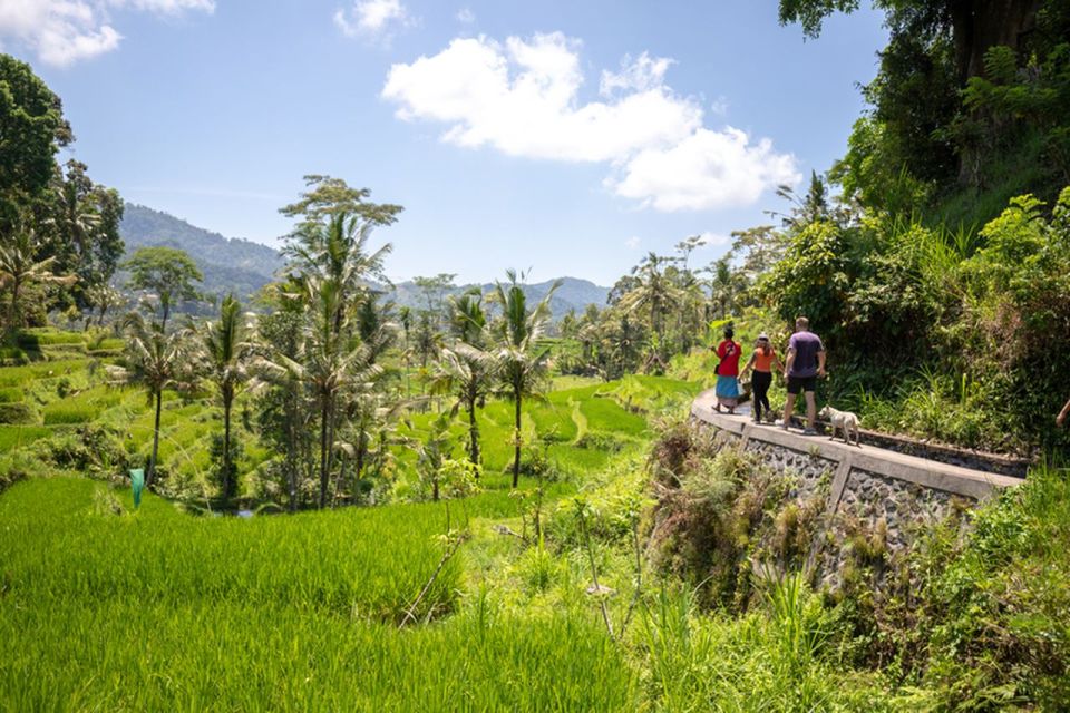 Bali: Rice Terraces Guided Hiking Experience - Common questions