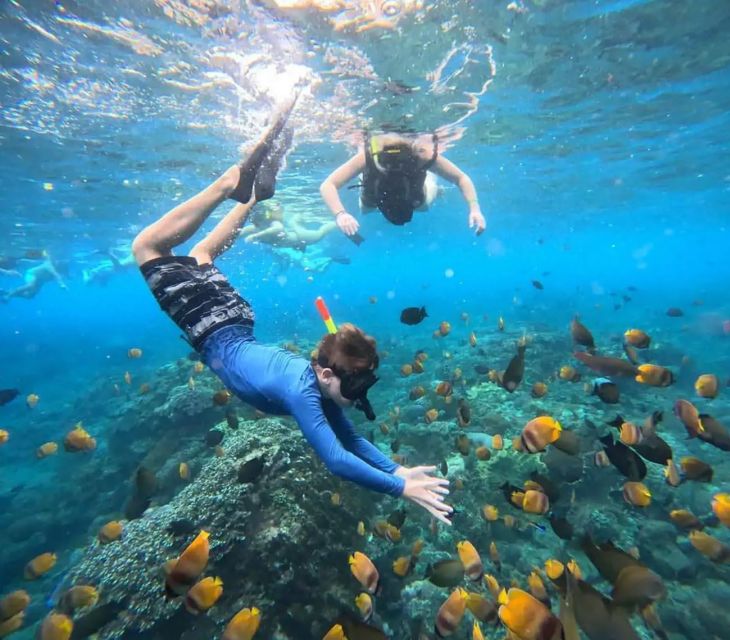 Bali: Snorkeling at Blue Lagoon Beach & Ubud Tour - Tegalalang Rice Terrace Exploration