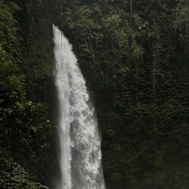 Bali: Tanah Lot, Nung Nung Waterfall, Jatiluwih, and Bedugul - Natural Landscapes