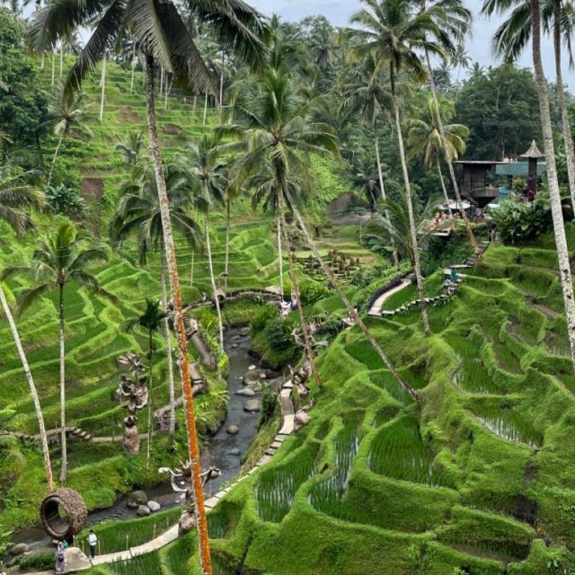 Bali: Ubud Highlights Tour With Private Guide and Transfers - Common questions