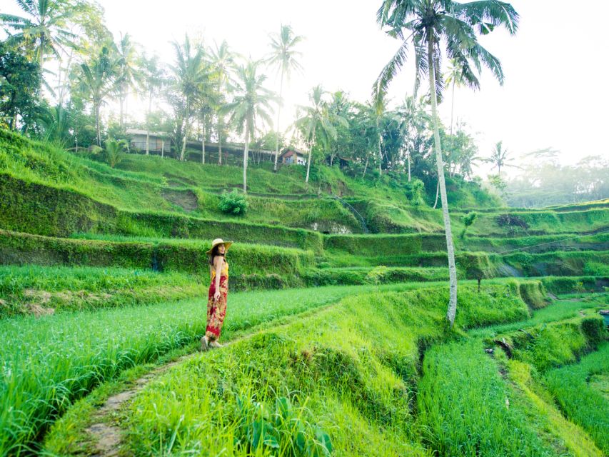 Bali : Ubud Tropical Trails, Waterfall & Rice Terraces. - Support for Local Communities