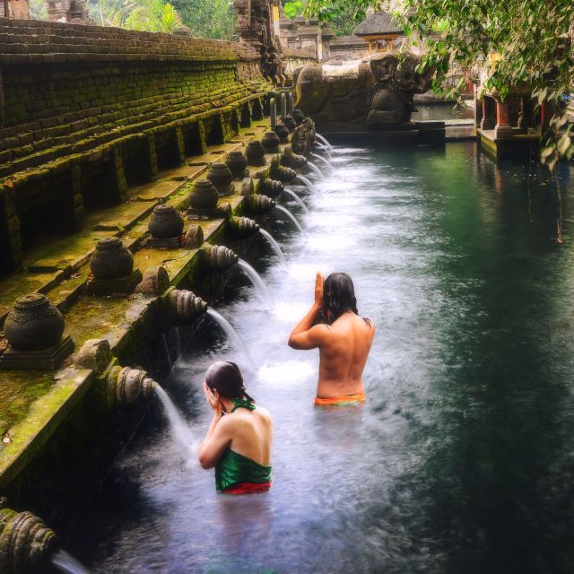 Bali: Ubud Unveiled Day Tour With Private Driver - Common questions