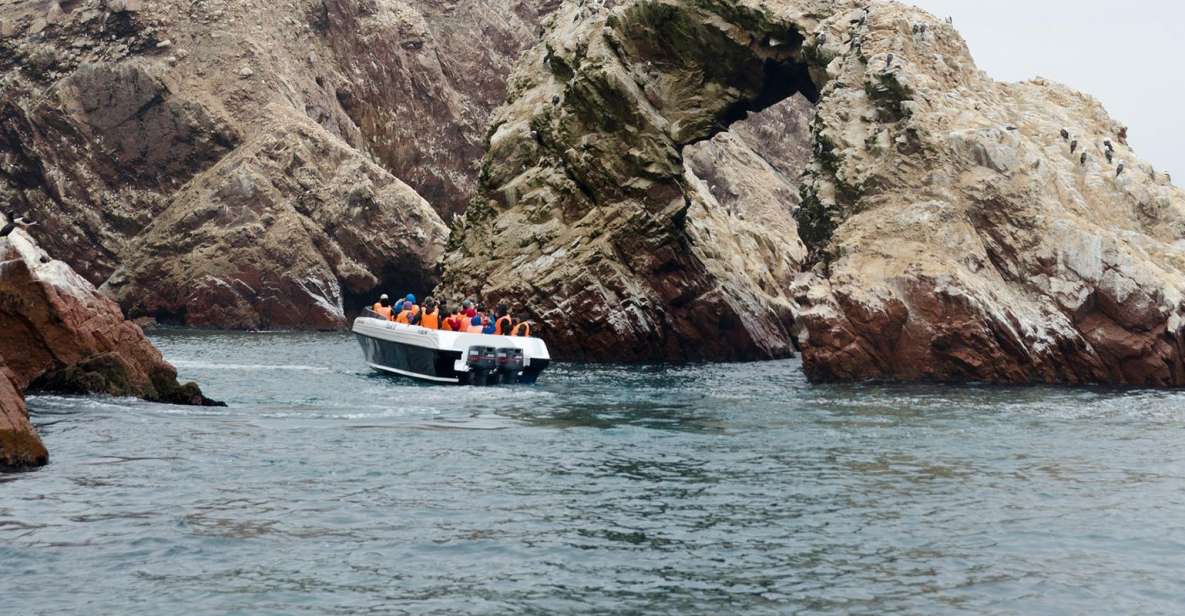 Ballestas Islands and Tambo Colorado From San Martin Port - Return Details