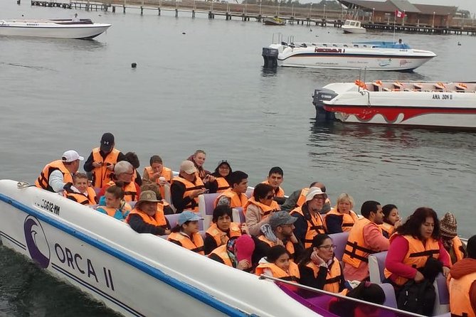 Ballestas Islands Group Tour From Paracas - Common questions