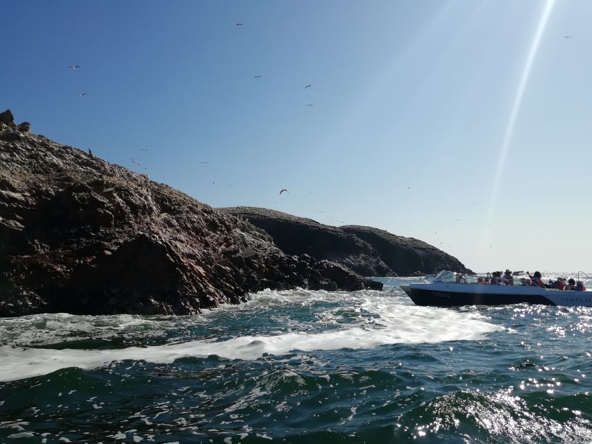 Ballestas Islands, Winery & Huacachina Oasis Private Tour - Last Words