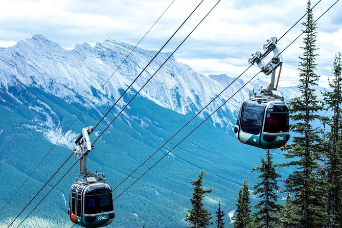 Banff Area & Johnston Canyon 1-Day Tour From Calgary or Banff - Customer Recommendations and Suggestions