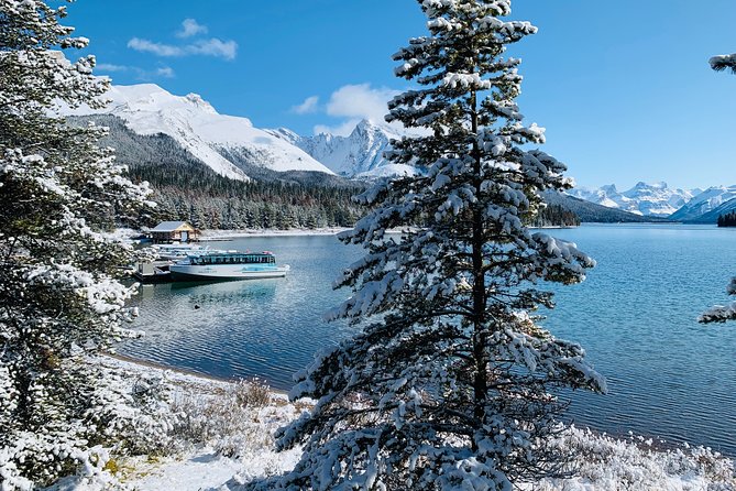Banff (Canmore) to Calgary Public Shuttle - Service Provider Terms & Conditions