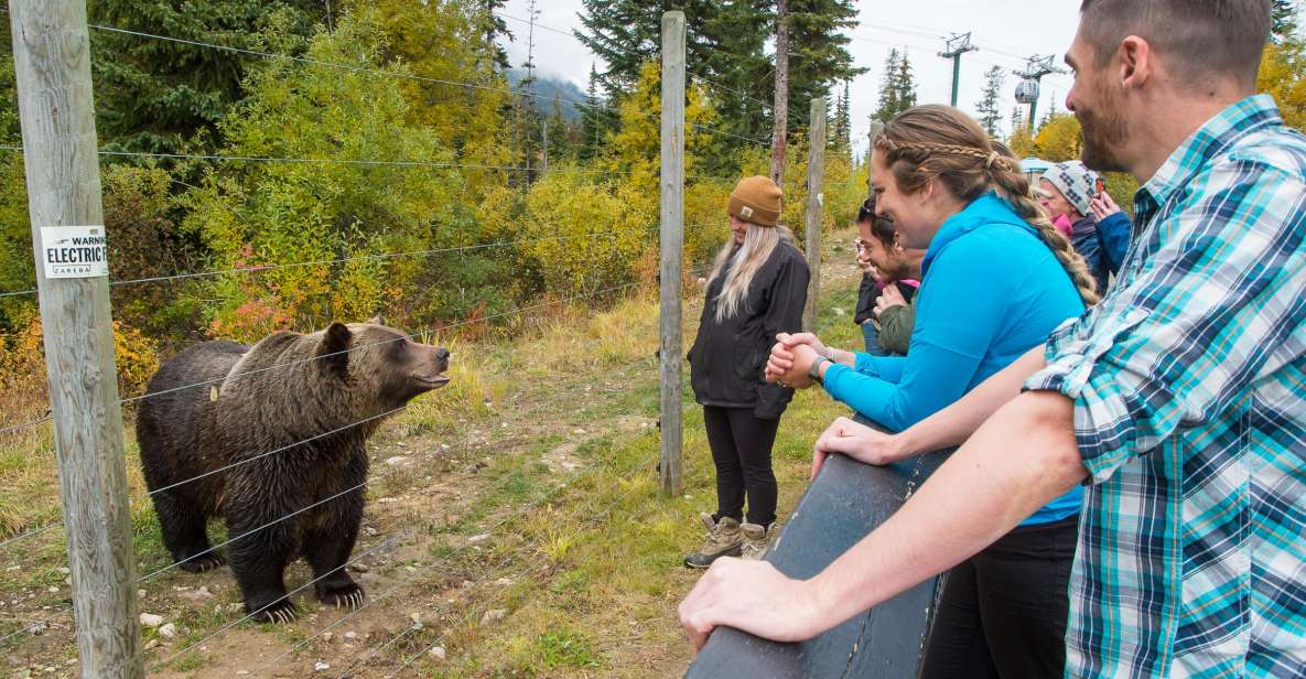 Banff: Grizzly Bear Refuge Tour With Lunch - Common questions