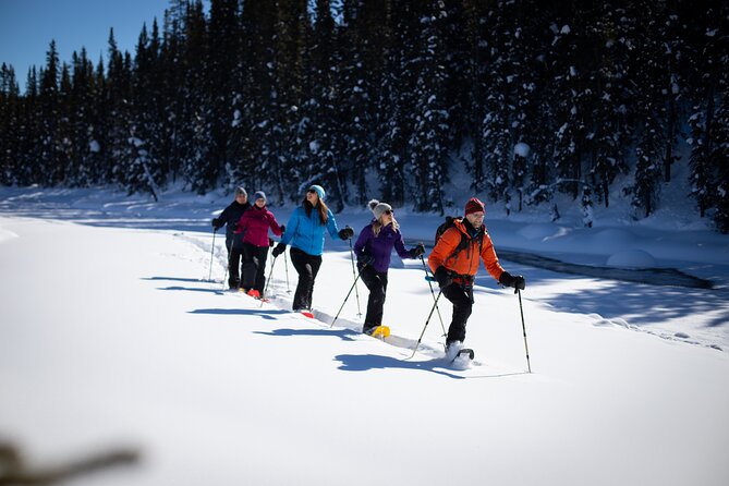 Banff, Lake Louise & Johnston Canyon Winter Wonderland Tour - Common questions