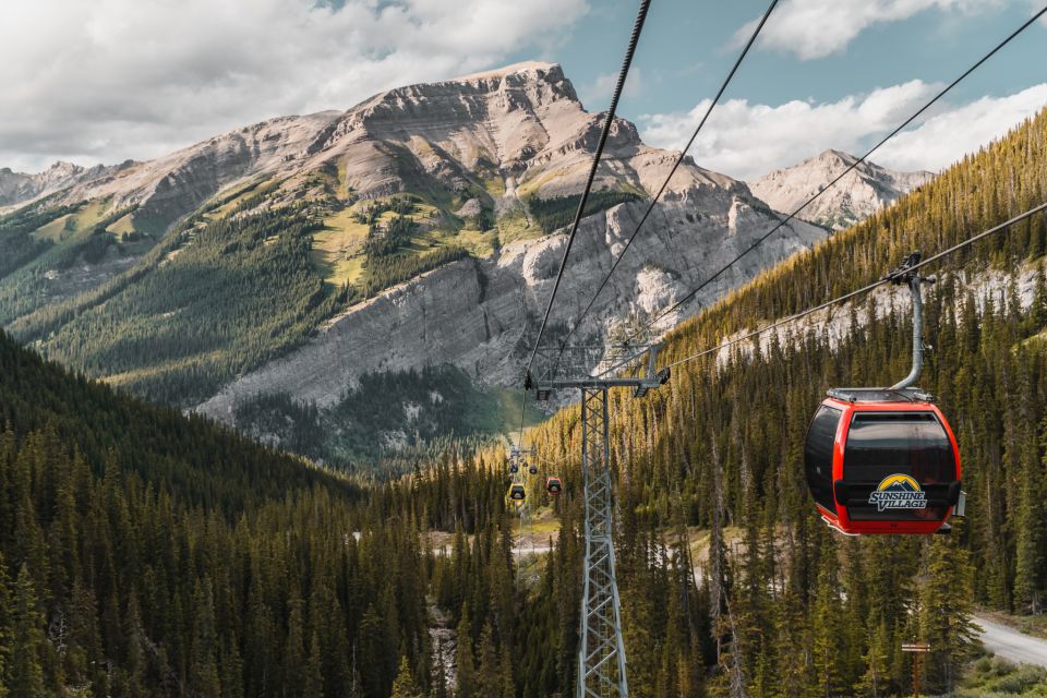 Banff: Sunshine Sightseeing Gondola and Standish Chairlift - Wildlife Spotting