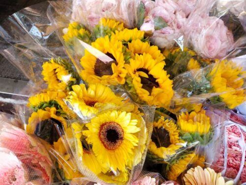 Bangkok:4Hour Flower Market and Little India Tour Mini Group - Additional Information and Tour Details