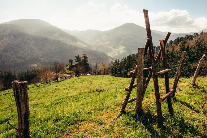 Basque Farm House & Cider House" Tour Meal From San Sebastian - Cultural Insights