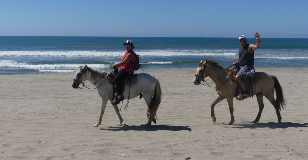 .Beach Horse Riding Turtle Release Crocodile Farm Experience - Common questions