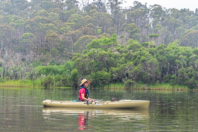 Bega River Kayaking Tour - Itinerary