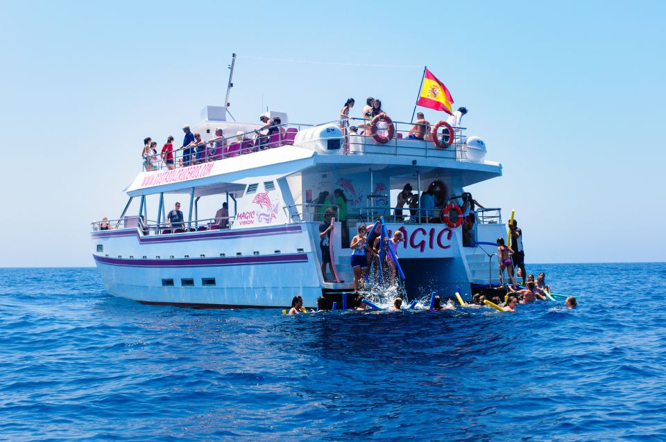 Benalmadena: Dolphin Watching Boat Tour - Participant Requirements and Check-in Process