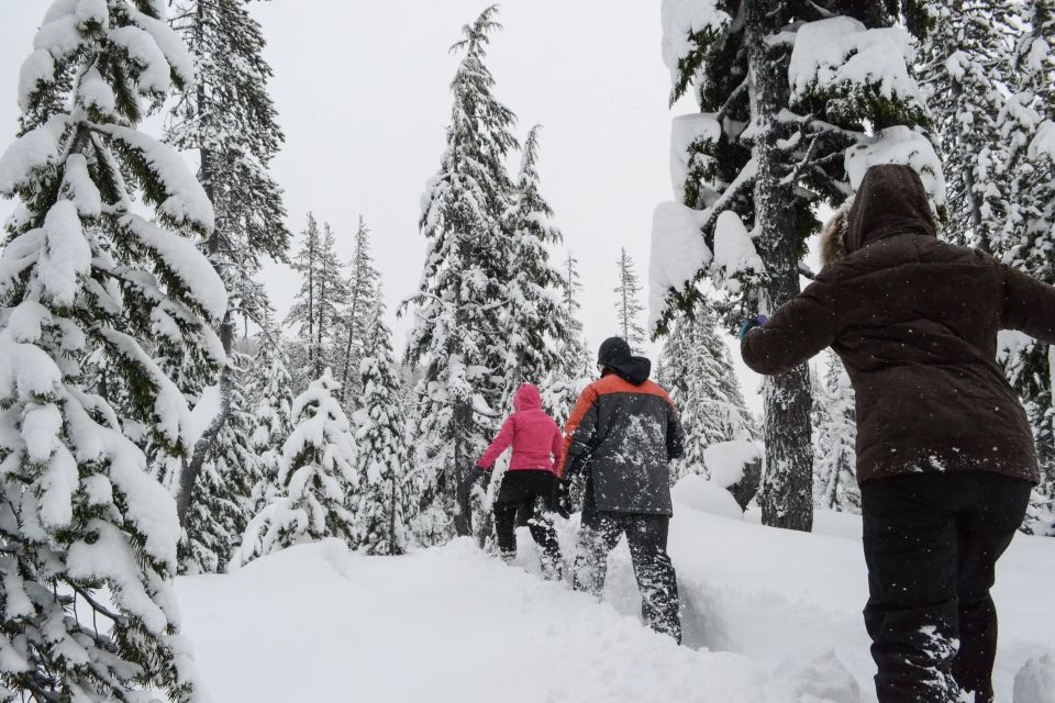 Bend: Half-Day Snowshoe Tour in the Cascade Mountain Range - Booking and Cancellation Policy