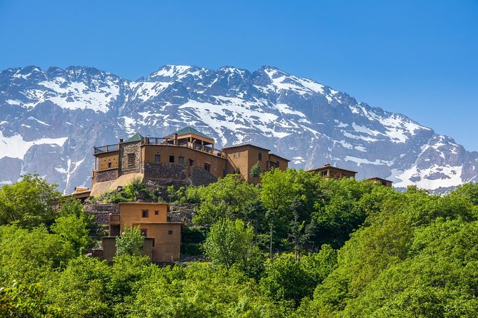 Berber Life Experience in the Atlas Mountains From Marrakech - Traveler Reviews