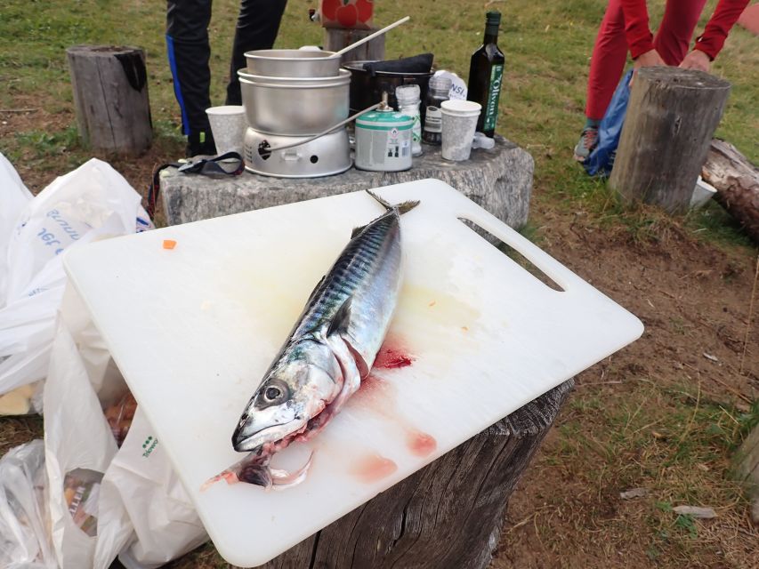 Bergen: Guided Fishing Tour With Outdoor Cooking - Customer Reviews