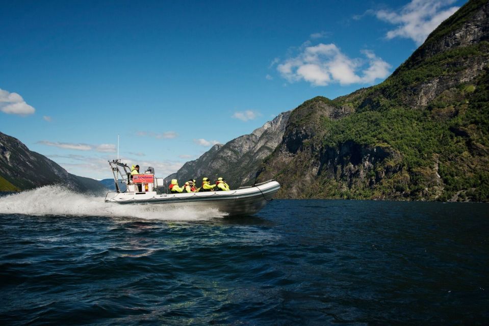 Bergen: RIB Sognefjord Safari and Flåm Railway Private Tour - Background