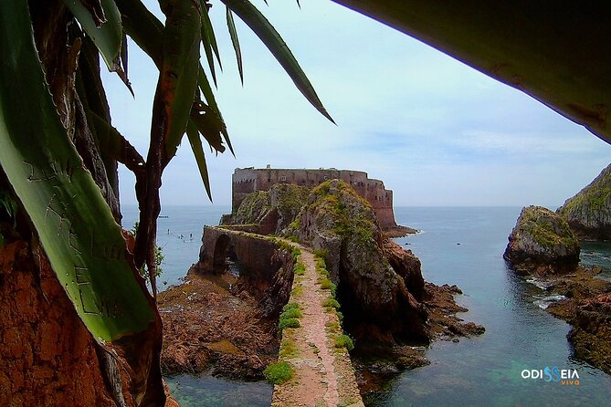 Berlengas Catamaran Tour - Directions