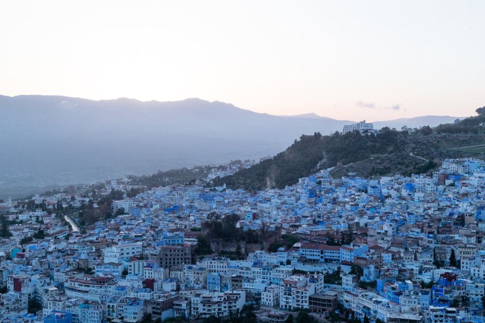 Best Experience Fes to Chefchaouen Day Tour Multi Languages - Dining Experience and Options