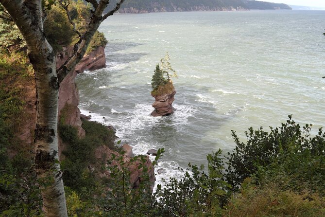 Best of Hopewell Rocks & Fundy National Park From Moncton - Last Words