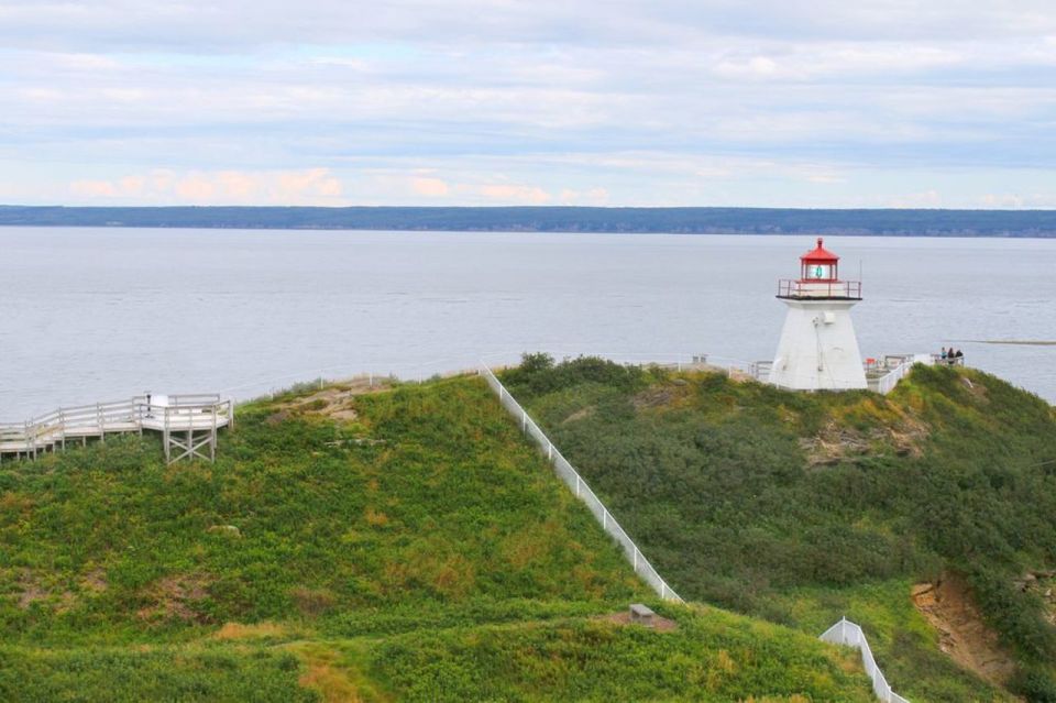 Best of Hopewell Rocks & Fundy National Park From Moncton - Memorable Moments