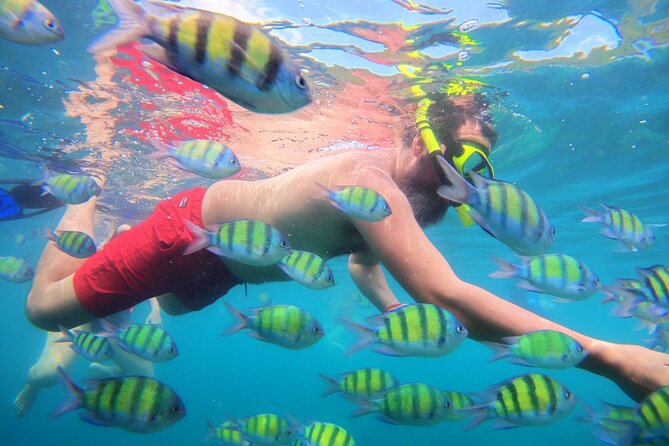 Best of Phi Phi Islands Snorkeling Tour From Phuket - Last Words