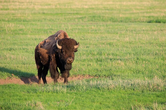 Best of Yellowstone Guided Tour From Bozeman - Private Tour - Last Words