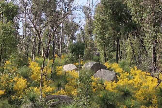 Bibbulmun Track Multi-Day Hike and Camp to the Darling Range - Gear Packing List