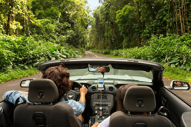 Big Island - Hawaii Volcanoes National Park Driving Tour - User Experience