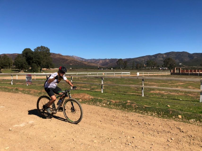 Bike and Wine Amazing Adventure in Valle De Guadalupe" - Common questions