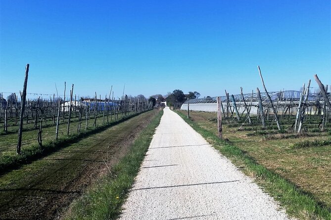 Bike Tour With Honey and Artichockes on Sant'Erasmo Island - Additional Information