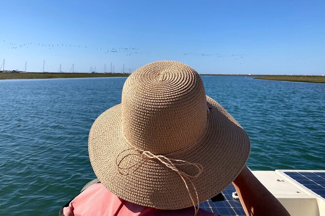Birdwatching in Ria Formosa - Eco Boat Tour From Faro - Directions to Meeting Point