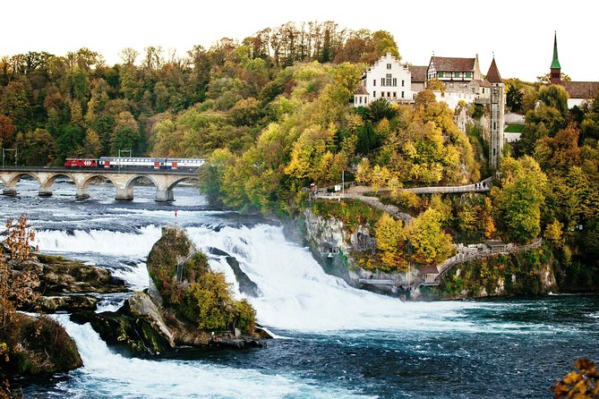 Black Forest and Rhine Falls Day Trip From Zurich - Common questions