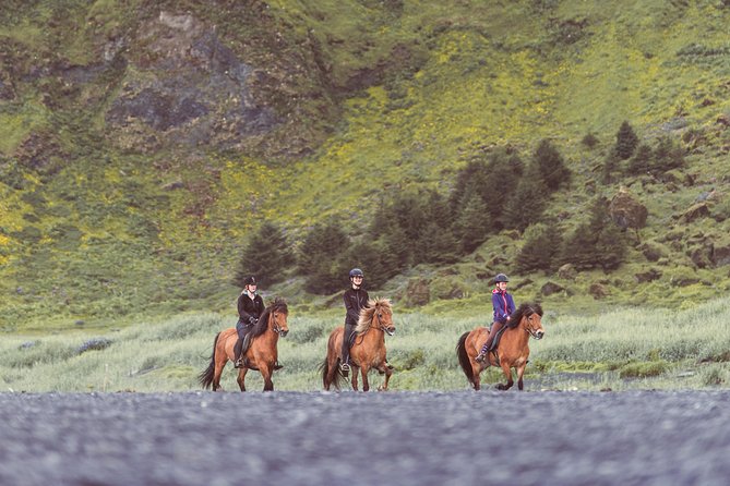 Black Sand Beach Horse Riding Tour From Vik - Staff Interaction