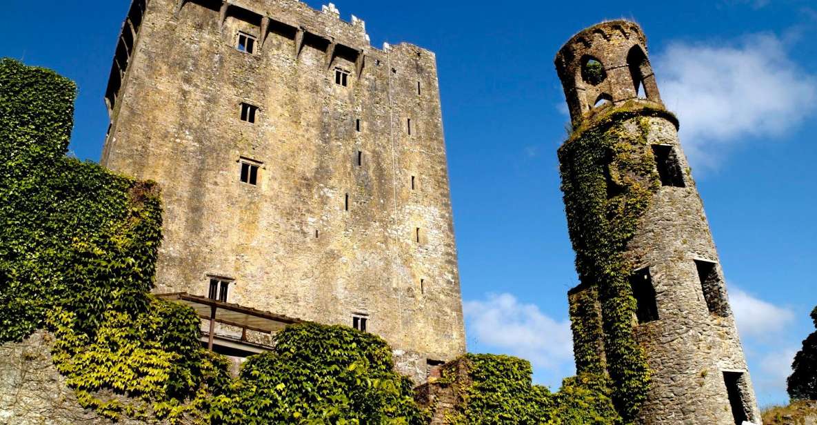Blarney Castle Full-Day Tour From Dublin - Common questions