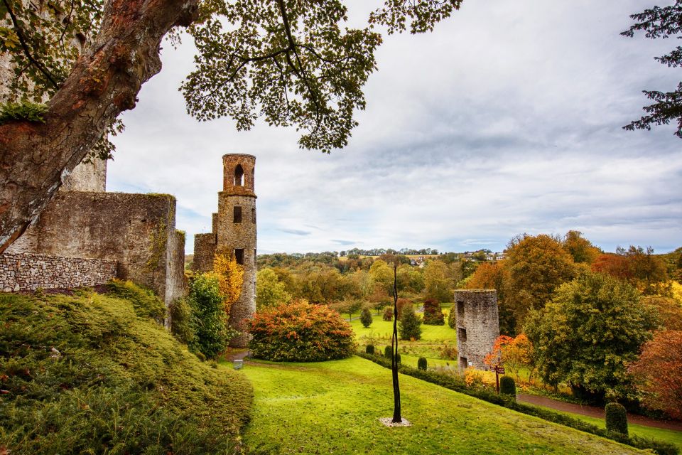 Blarney Castle & Rock of Cashel Private Car Trip From Dublin - Payment Options