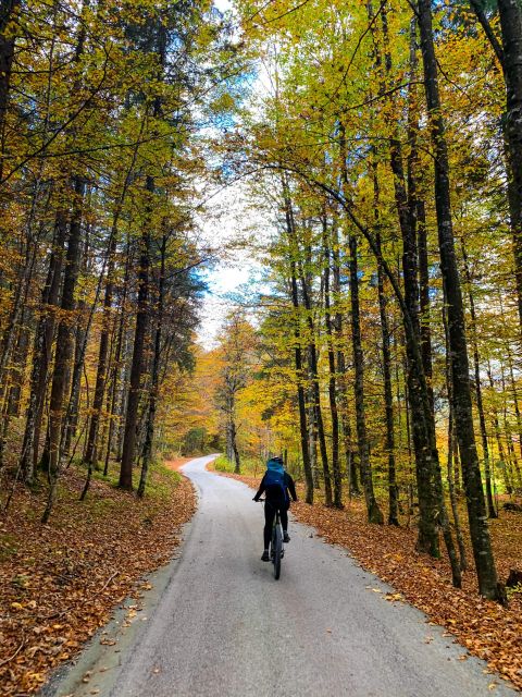 Bled: EBike Tour Lake Bled & Triglav National Park Private - Directions