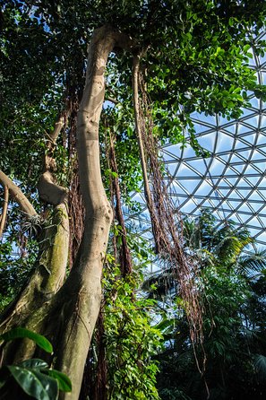 Bloedel Conservatory Admission Ticket - Common questions