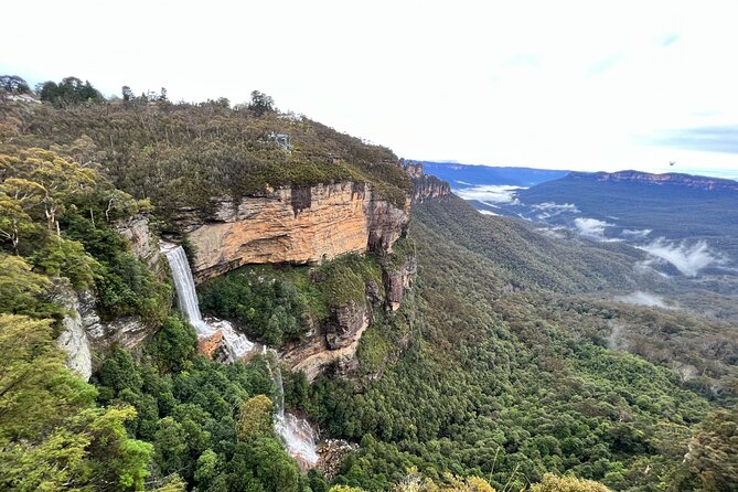 Blue Mountains Day Adventure, Featherdale Wildlife & River Cruise - Learn About Copyright Information