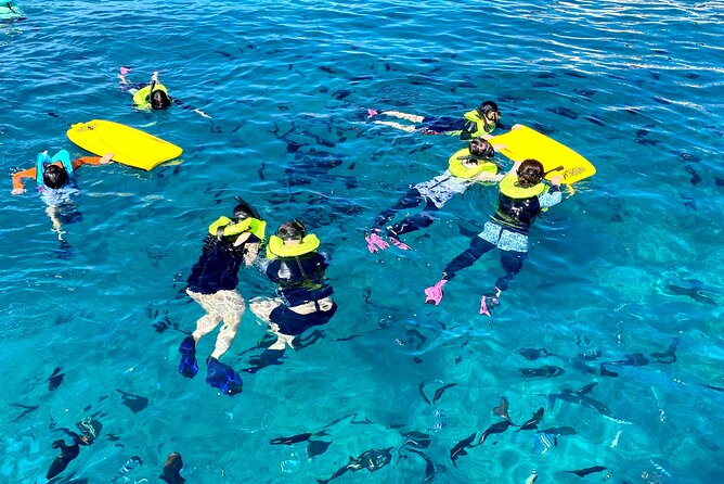 [Blue Ocean Snorkeling] Waikiki Turtle Canyon Snorkeling 6 in 1 - Tour Organization and Overall Experience