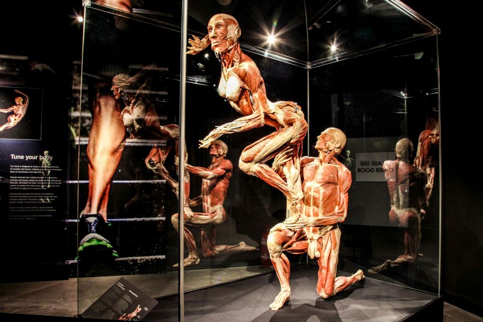 Body Worlds Amsterdam: The Happiness Project Ticket - Location Details