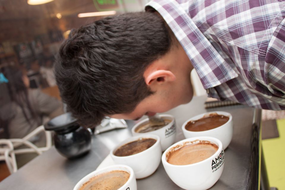 Bogota Coffee Masters - Palate-Enhancing Coffee Secrets